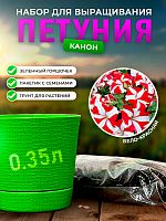 Набор для выращивания петунии "Канон"