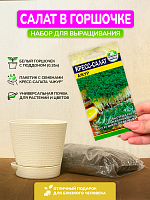 Набор для выращивания "Кресс-салат"